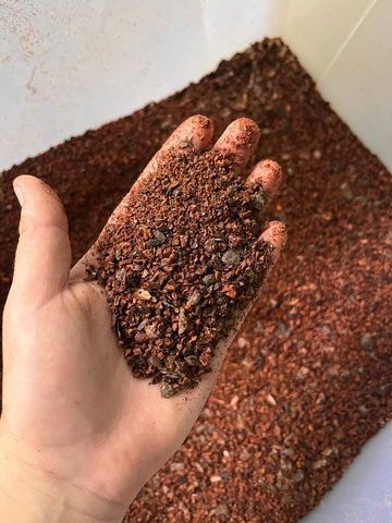 Winnowing Cacao Nibs