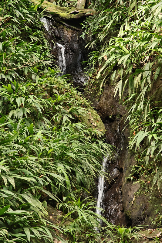 Waterfall & Playa Larga