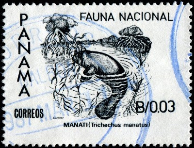 Vintage Panama manatee conservation stamp