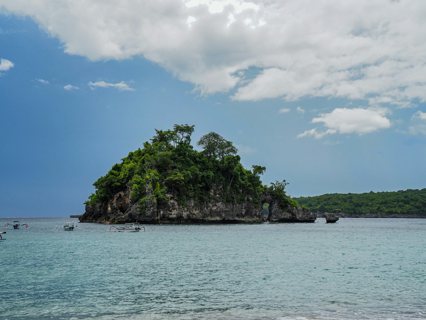 The Secrets of Bocas del Toro’s Ecosystems