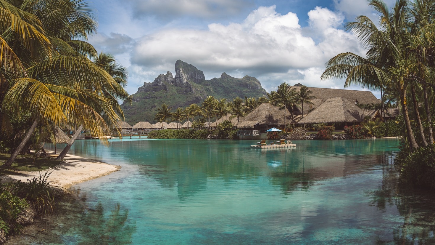 The Importance of Ecotourism in Tropical Habitats